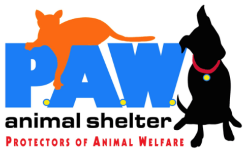 Paw Animal Shelter